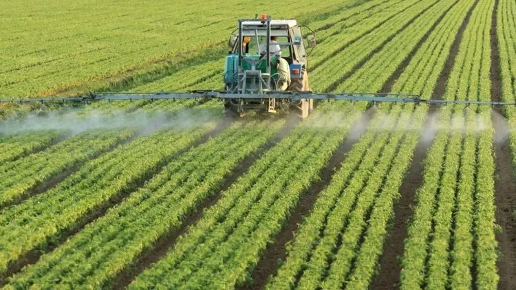 Pulverização de fertilizante foliar na lavoura